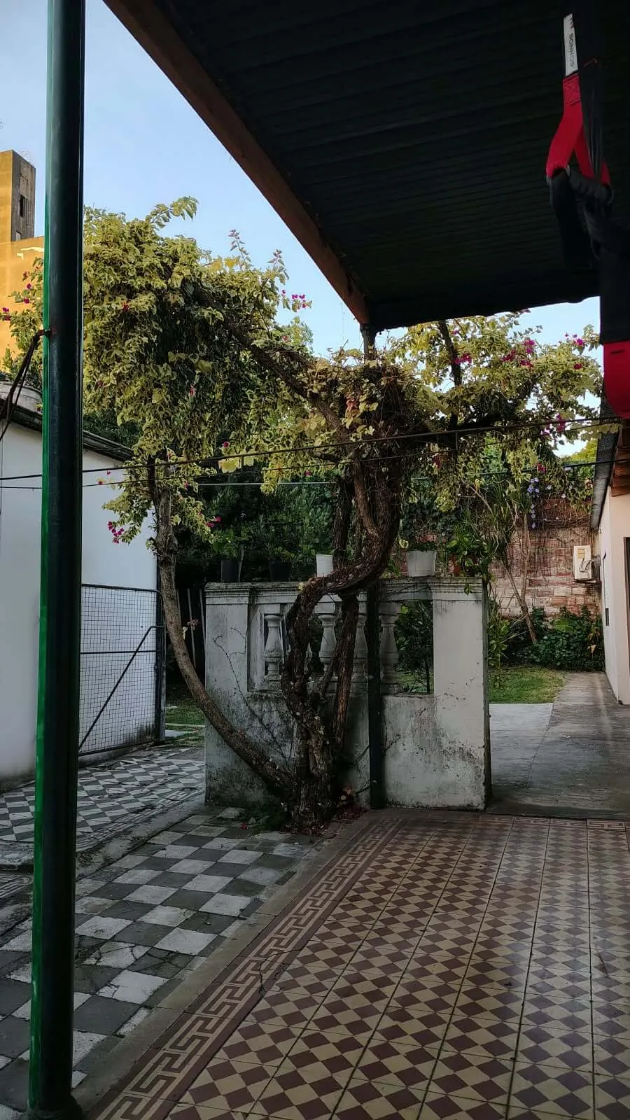 El patio de La Casa, con la puerta roja de la cocina y un árbol